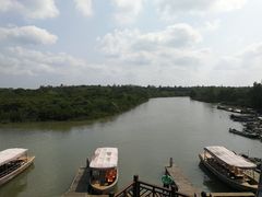 -东寨港红树林旅游区