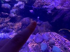 -香港海洋公园