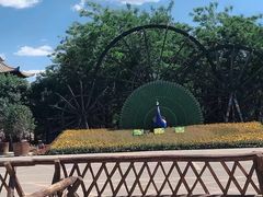 -呀路古热带植物园