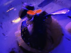 -西山人家·二十年老字号农家菜(旺山店)