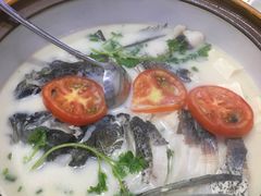 -全乐鱼馆·淳牌有机鱼直营店