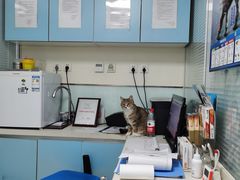 -瑞派·关忠动物医院·猫专科·犬专科(三环新城店)