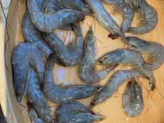 -生火火·地摊小炉子烧烤(金楠天街总店)