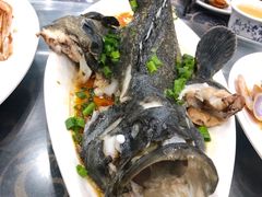 清蒸老虎斑-七鲜渔港美食餐厅(巽寮湾海景店)