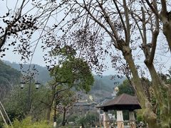 -余姚阳明温泉山庄