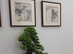 -乐老大耳道·可视采耳·禅洗·推拿(大成直营店)