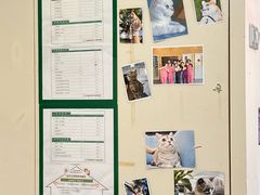 -爱妮康宠物医院·干细胞免疫细胞·肿瘤·心脏(张江店)