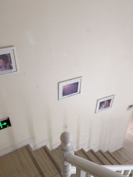 -SILKTONE诗丽堂美容