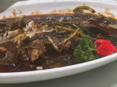 -绿雅酒家(江西中路店)