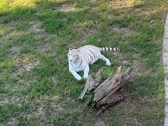 -石家庄市动物园