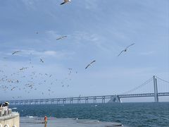 -星海广场