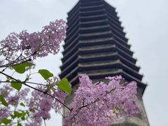 -玲珑塔公园