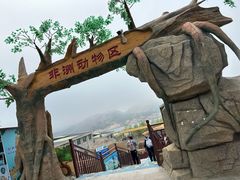 -西霞口神雕山野生动物世界