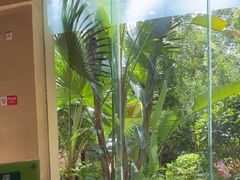 -海兰云天度假区温泉