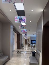 -杭州米兰柏羽医疗美容医院