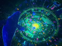 -海合安成都极地海洋公园