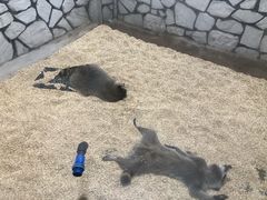 -海合安武汉极地海洋公园