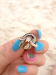 去泰国做的指甲，树是lucky画的喔！-IRIS爱蕊丝形象