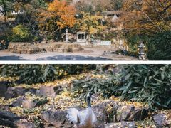 -虎丘山风景名胜区
