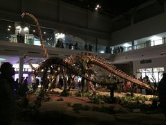 -自贡恐龙博物馆