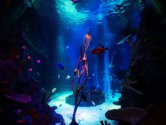 -沈阳海洋探索中心