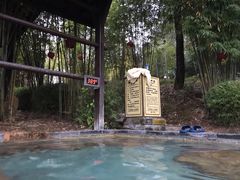 -崇阳三特浪口温泉