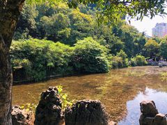 -黔灵山公园