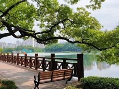 -中山公园(石岐街道)