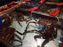 -湛江渔港·大排档(乐园路总店)