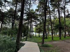 -长春净月潭风景名胜区