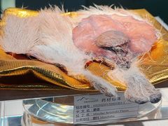 -青藏高原自然博物馆