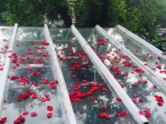 -成桂西餐厅·42年的味道(五大道疙瘩楼店)