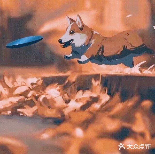 秋日里的狗狗