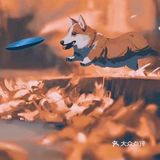 秋日里的狗狗