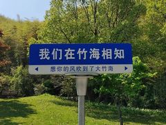 -宁波浙东大竹海景区