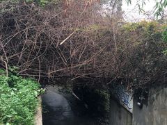 -鼓浪屿琴海庄园海景酒店