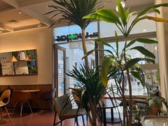 -Wagas沃歌斯(枫蓝国际店)