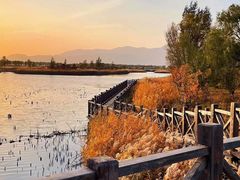 -野鸭湖国家湿地公园