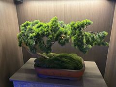 -鸽子侯·家宴·平价海鲜(绿地店)