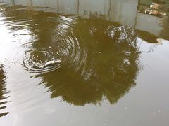 -酷鱼垂钓CLUB(朝阳区博大路店 )