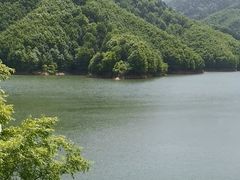 -秦岭风景区