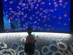 -沈阳海洋探索中心