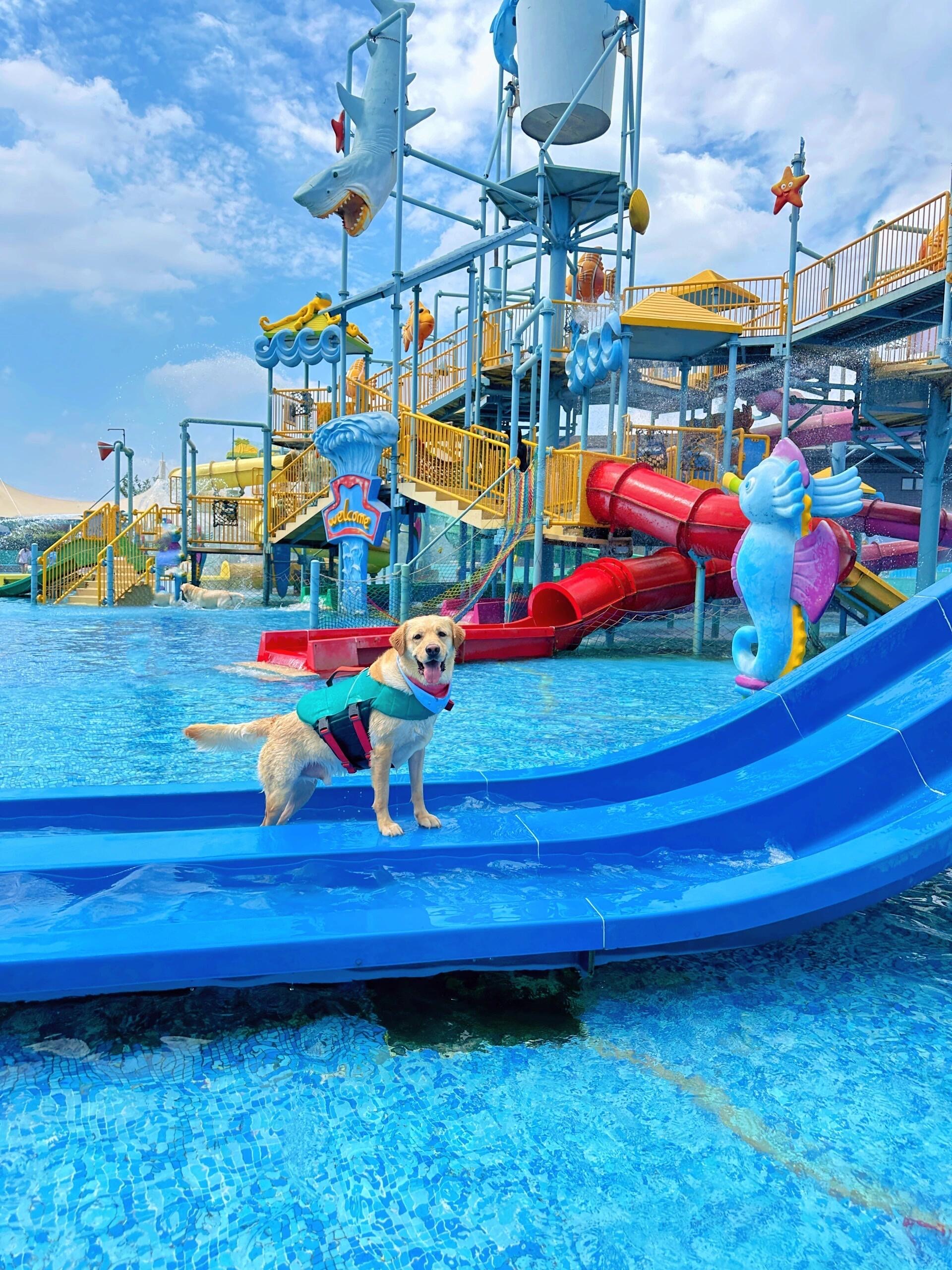 水上乐趣享不停