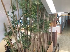 -松雷何所有(中央大街店)