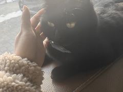 -宠乐会宠物乐园