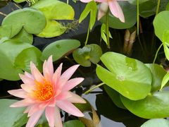-陶然居·重庆菜(生态园店)