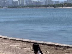 -日照世帆赛基地