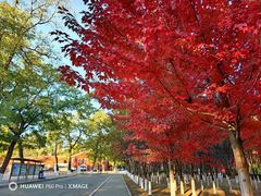 -辽宁大学(崇山校区)