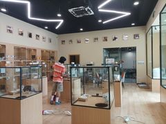 -袖虎猫馆(十亩地店)