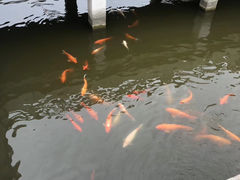 -三国水浒景区(无锡影视基地)